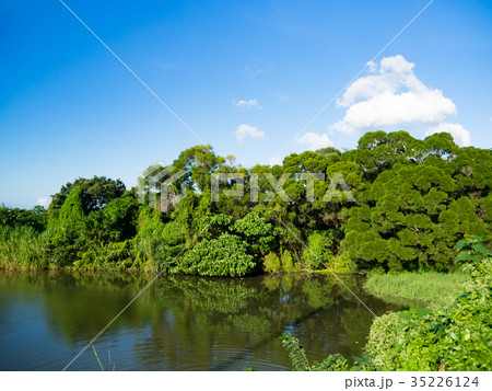 日 一日 昼 35226124