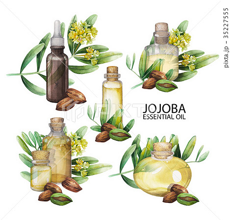Watercolor jojoba oil set 35227555