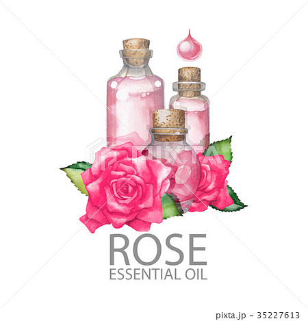 Watercolor rose oil 35227613