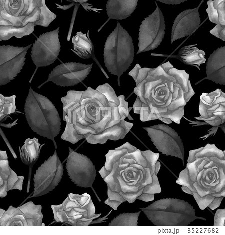 Watercolor roses pattern 35227682