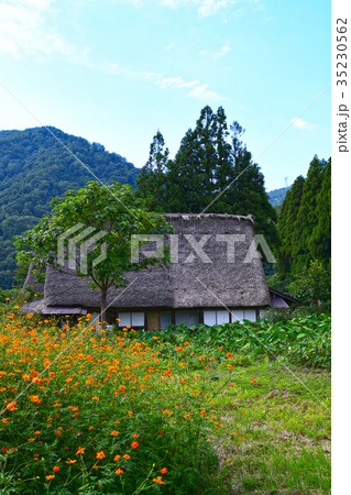 菅沼合掌造り集落 菅沼合掌造り集落 35230562