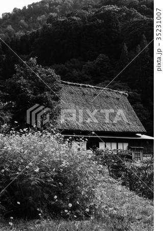 菅沼合掌造り集落 35231007