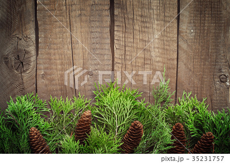 Nature Xmas background with coniferous branches 35231757