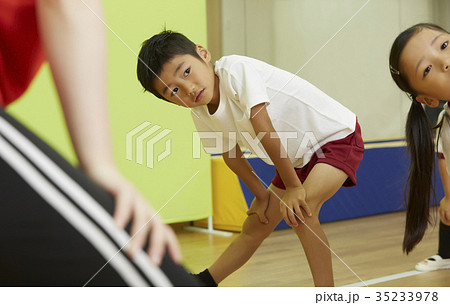 体操教室　指導　キッズ　準備体操 35233978