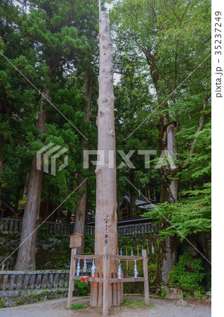 諏訪大社　本宮一之御柱 35237249