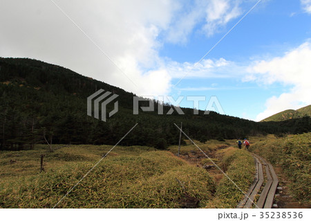 北八ヶ岳 笹野原 北八ヶ岳 笹野原 35238536