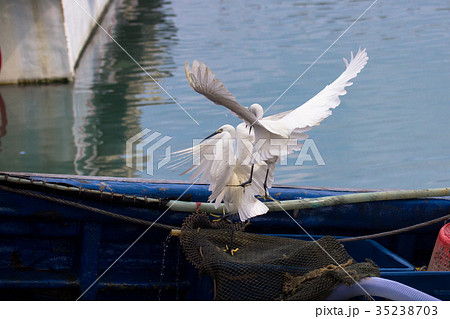 戦い 喧嘩 戦闘 35238703