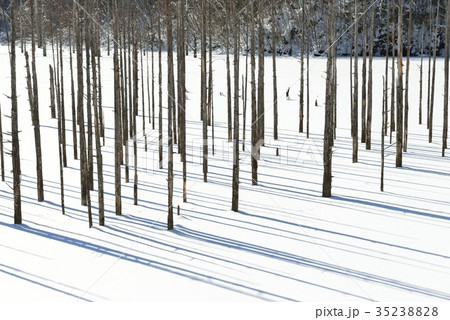 冬の自然湖 冬の自然湖 35238828