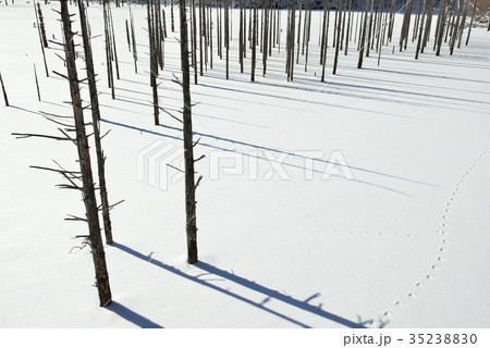 冬の自然湖 35238830