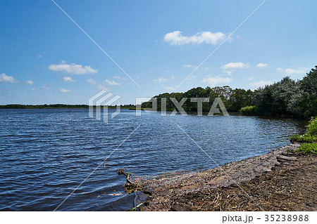 ウトナイ湖サンクチュアリ 35238988