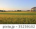 田園 35239102