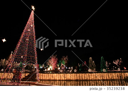 あしかがフラワーパークのクリスマスツリー あしかがフラワーパークのクリスマスツリー 35239238