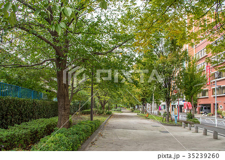 墨田区立竪川第一公園 墨田区立竪川第一公園 35239260