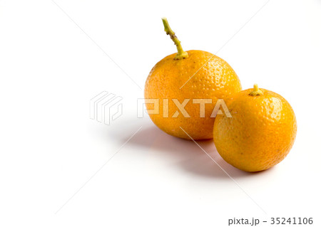 Orange color of Kumquat on white background Orange color of Kumquat on white background 35241106