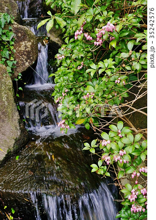 庭園の滝 庭園の滝 35242576