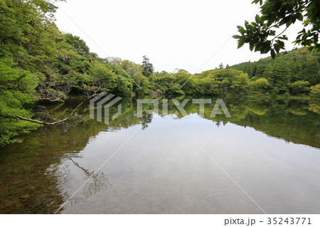 長崎県雲仙市 白雲の池 長崎県雲仙市 白雲の池 35243771