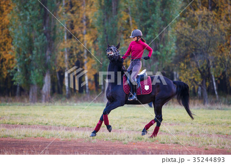 Young rider girl on bay horse in the autumn park 35244893