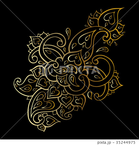Paisley Ethnic ornament. 35244975