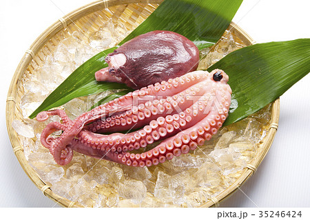 タコの足 35246424