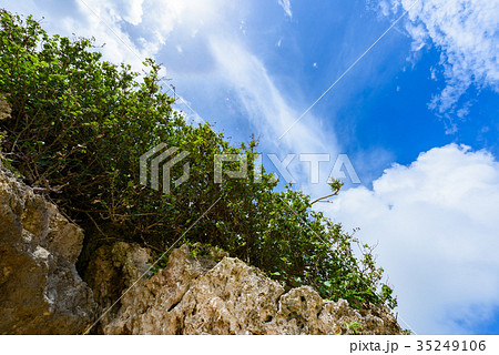 沖縄の空 沖縄の空 35249106