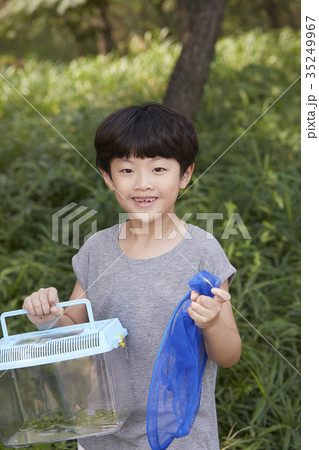 昆虫採集 少年 子供 35249967