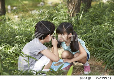 昆虫採集 少女 少年 35249973