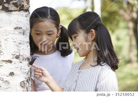 昆虫 観察 少女 35250052