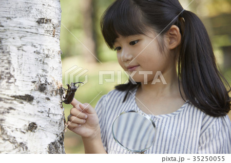 昆虫 観察 少女 35250055