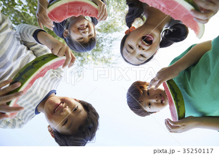 フルーツ 果物 スイカ 35250117