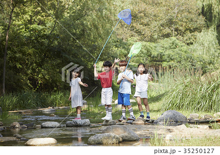 昆虫採集 少女 少年 35250127
