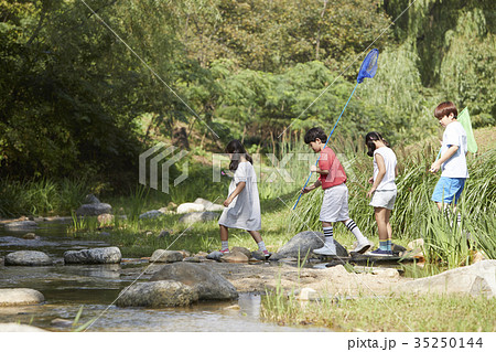 小川 渡る 昆虫採集 35250144