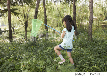 昆虫採集 少女 子供 35250166