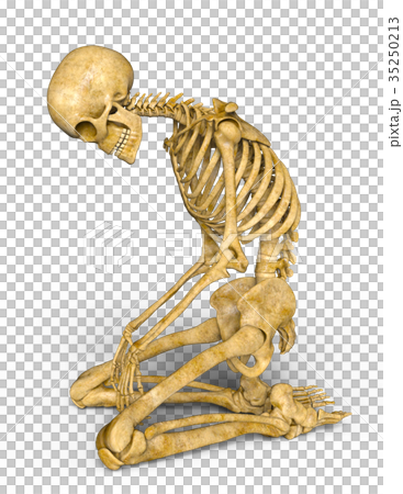 ガイコツ 35250213