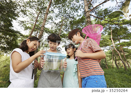 昆虫採集 少女 少年 35250264