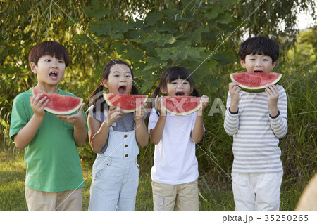 フルーツ 果物 食べる 35250265