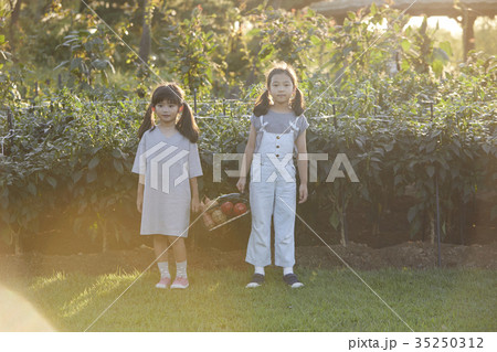 バスケット かご 少女 35250312