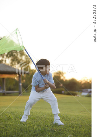 昆虫採集 少年 子供 35250373