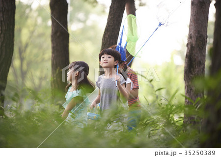 昆虫採集 少女 少年 35250389