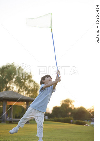 昆虫採集 少年 子供 35250414