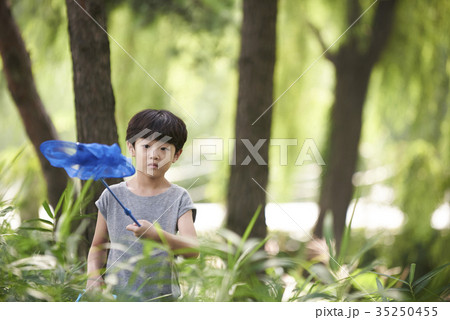 昆虫採集 教育 人 35250455