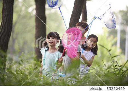 昆虫採集 屋外 室外 35250469