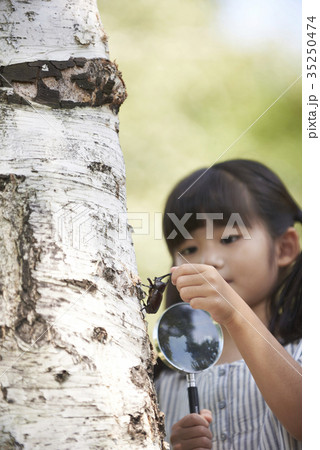昆虫 観察 拡大鏡 35250474