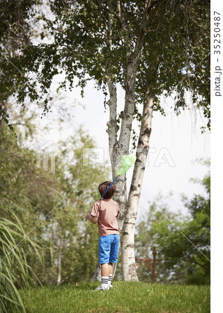 昆虫採集 木 少年 35250487