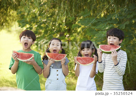 家族 ファミリー 二つ結び 35250524