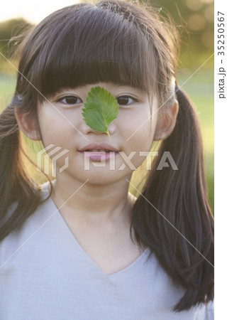 葉 木の葉 少女 35250567