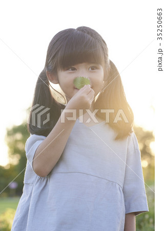 二つ結び ツインテール 葉 35250663