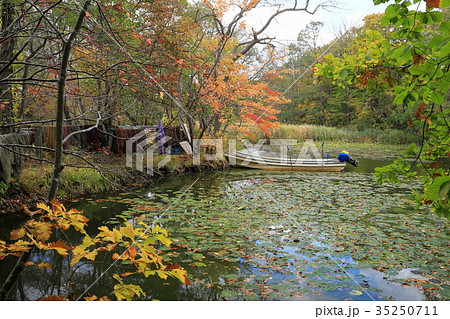 大沼公園の船溜まり 35250711