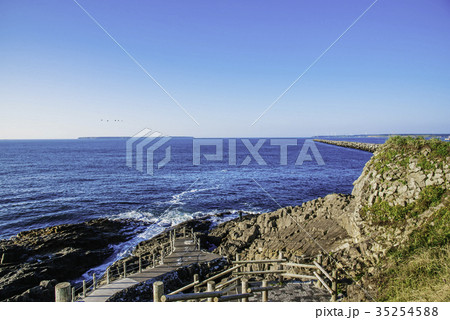 根室風景　根室車石　ユルリ島 35254588