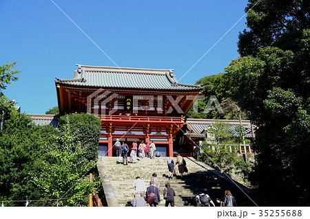 鶴岡八幡宮 35255688