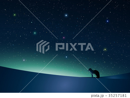 冬の夜空のイラスト素材